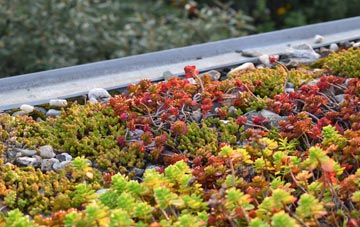 the cost of Llangolman green roof installation