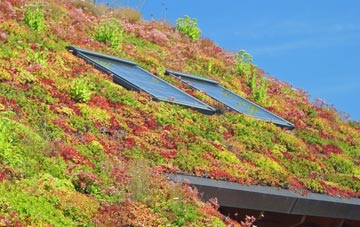 Llangolman living roof systems