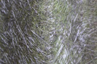 Llangolman fibreglass roof work